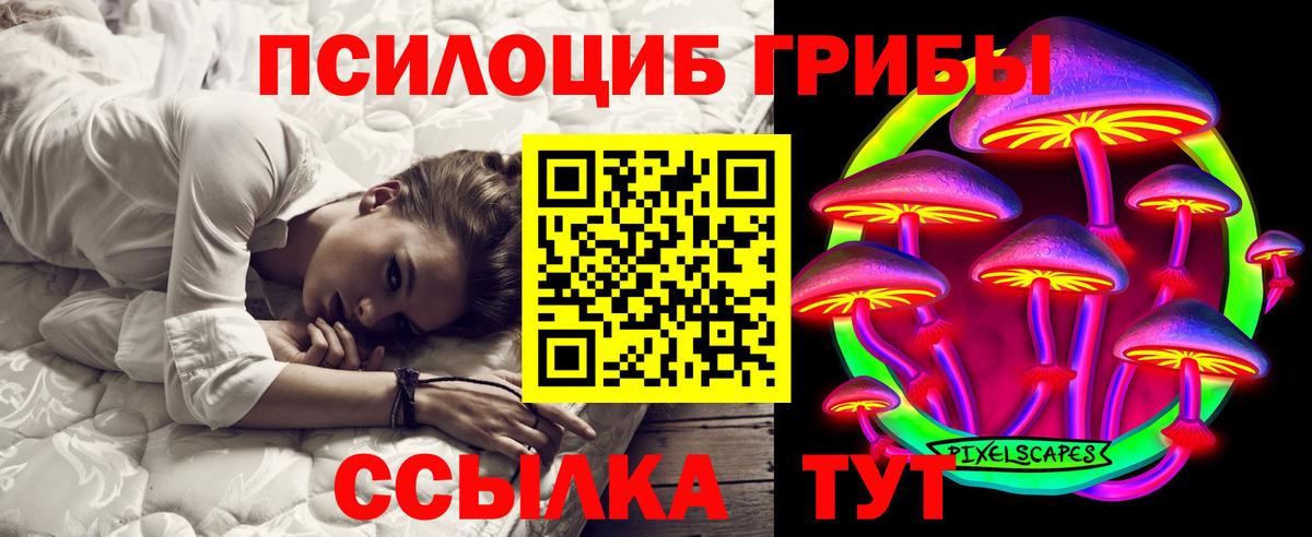 Галлюциногенные грибы Psilocybine cubensis Краснокаменск